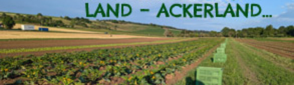 This land is your land – Ackerland…