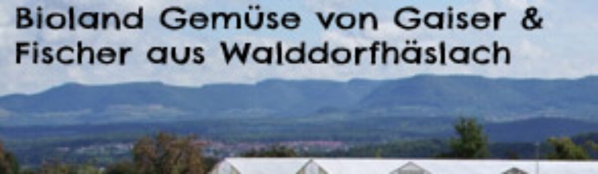 Neues Jahr – neuer Partner, Bioland Gemüse von Gaiser & Fischer aus Walddorfhäslach